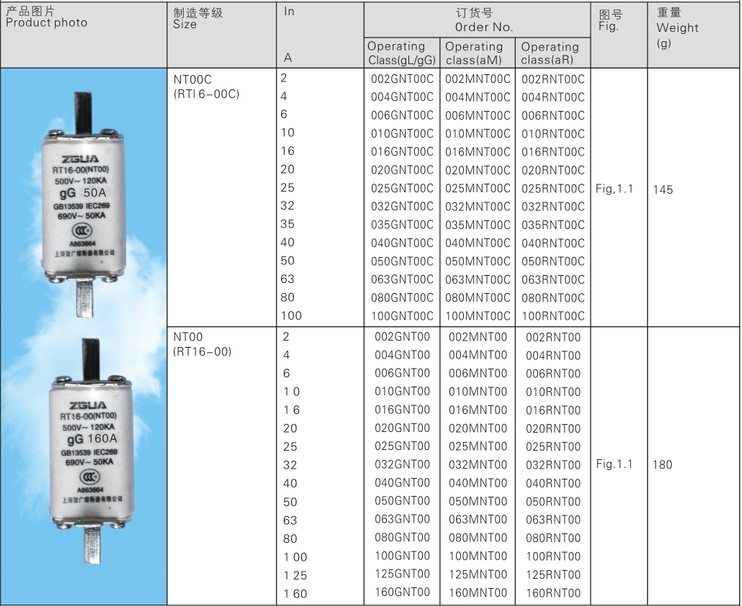 Low Voltage Fuse