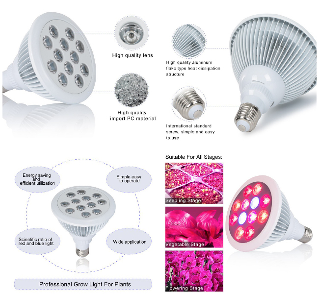 Energy-Saving High Quality LED Grow Light for Hydroponics