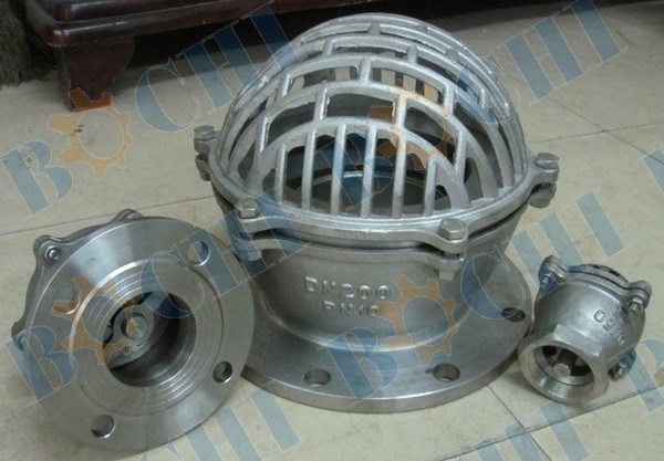 Stainless Steel Flanged Strainer Foot Valve