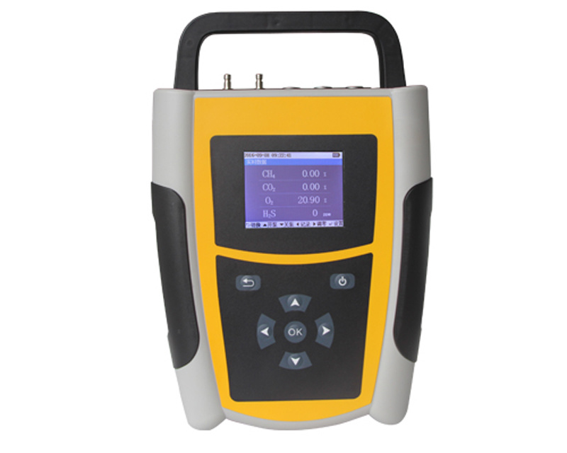 Handheld Biogas Analyzer/Gas Analyzer/Analytical Instruments