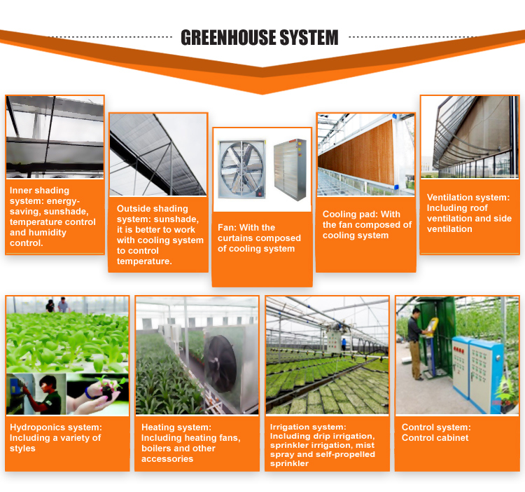 Hot Sale China Supplier Multi-Span Agricultural Film Low Price Greenhouse