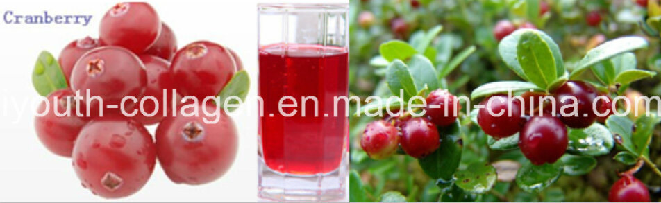 EU Quality Organic Red Cranberry Fruit Juice, Rich Anthocyanin, SOD, Anticancer, Anti-Aging, Antibacterial, Prevention of Gastric Cancer, Liver and Dementia,