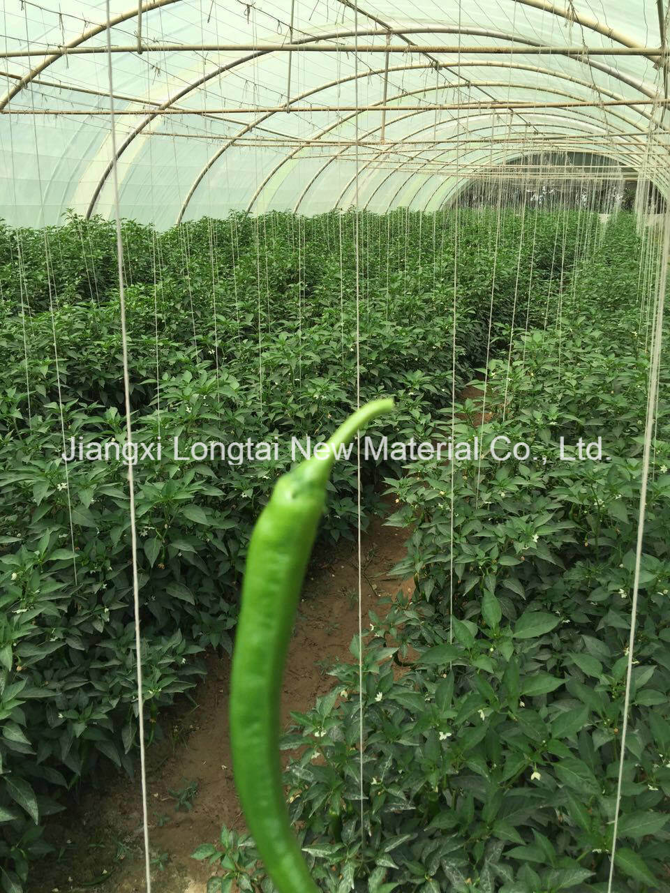 High Tenacity PP Agriculture Packing Rope