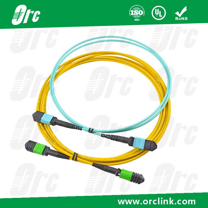 8f/12f/24f MTP/MPO Patchcord Jumper Optical Fiber Connector Sm/Om3/Om4 PVC/LSZH/Ofnp