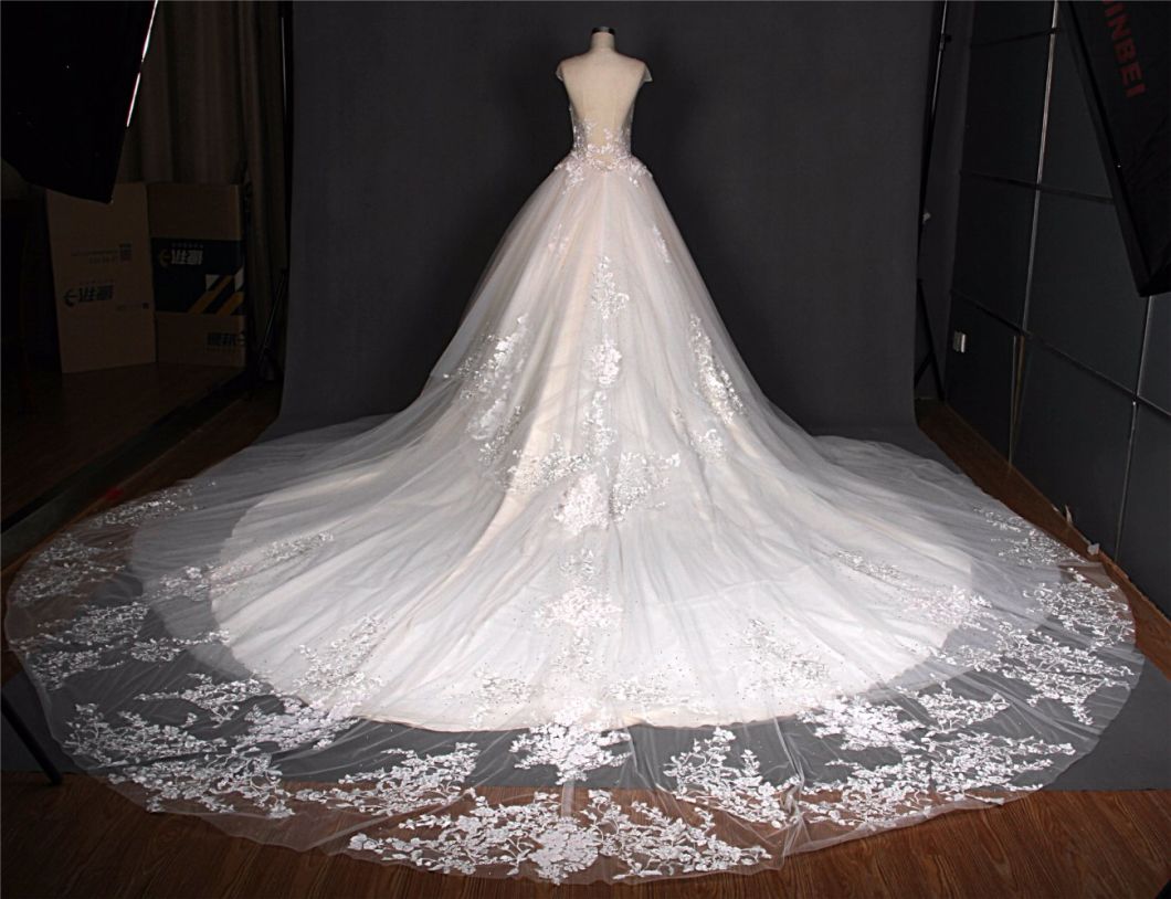New Arrival Lace Ball Bridal Wedding Dress