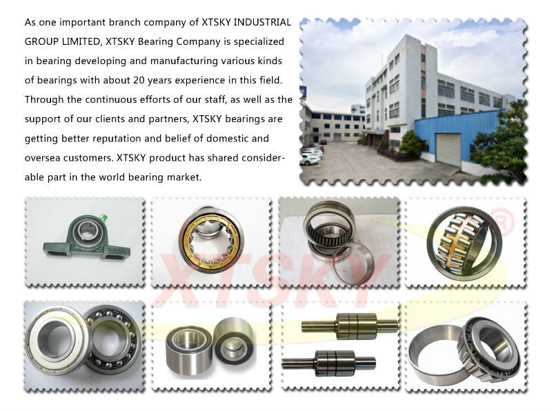 Xtsky Single Row Taper Roller Bearing 32210 with High Quality