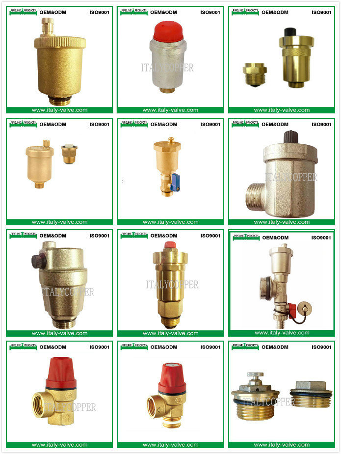 Customized Quality Brass Forged Air Vent Valve (IC-3093)