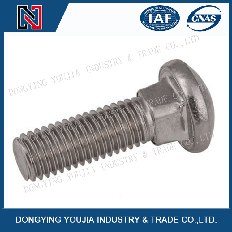 Ansib18.5 Stainless Steel Round Head Bolt with Square Neck