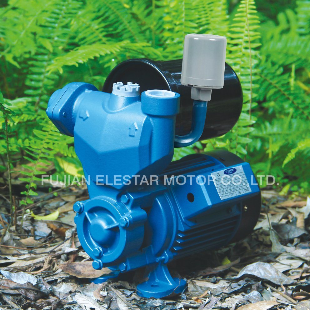 0.5HP Small Size Homeuse Vortex Water Pumps for Homeuse (WZB)