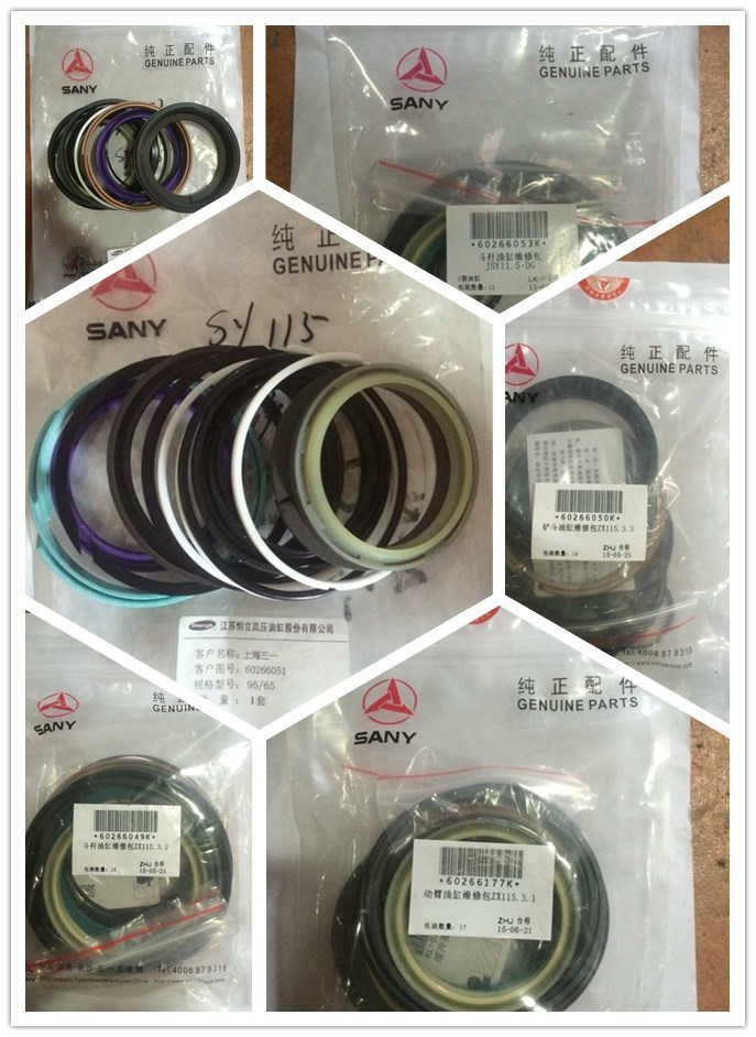 Seal for Sany Excavator Parts Chinese Supplier