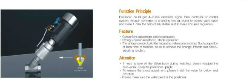 Proportional Control Angle Seat Valve with Positioner