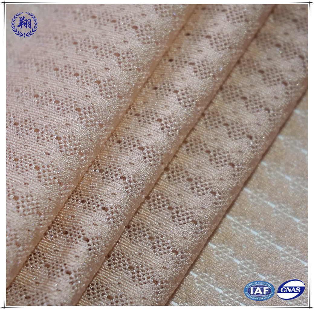 Nylon Spandex Shiny Warp Knit Lace Mesh Fabric