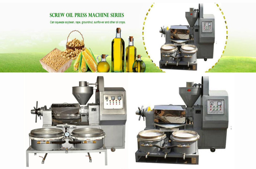 Agricultural Machinery Avocado Oil Machine and Pumpkin Seed Oil Press Machine