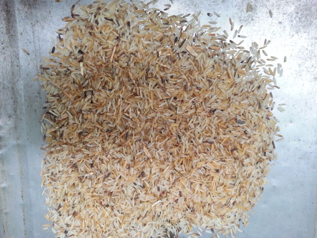 High Quality Processing Machine for Rice/Boiled Rice Color Sorter