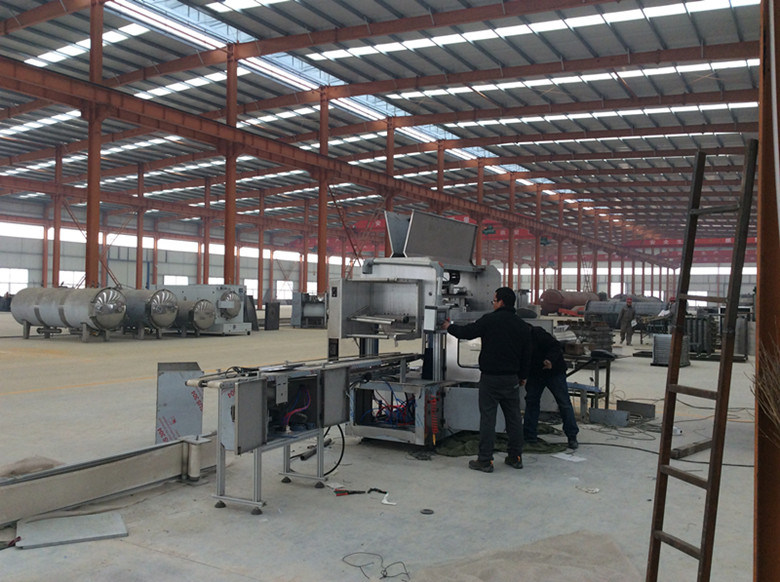 High Effective Continuous Mushroom Process Line Equipment for Cultivation for Sale