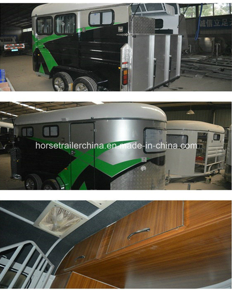 Hot Selling in Newzealand Angle Horse Trailers/Horse Floats