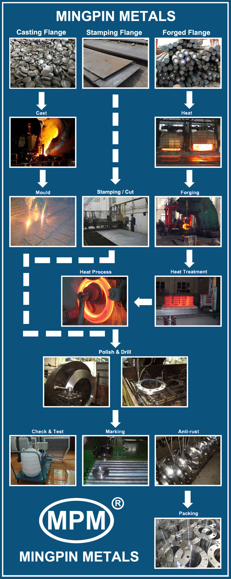 Forged Stainless Steel Flange