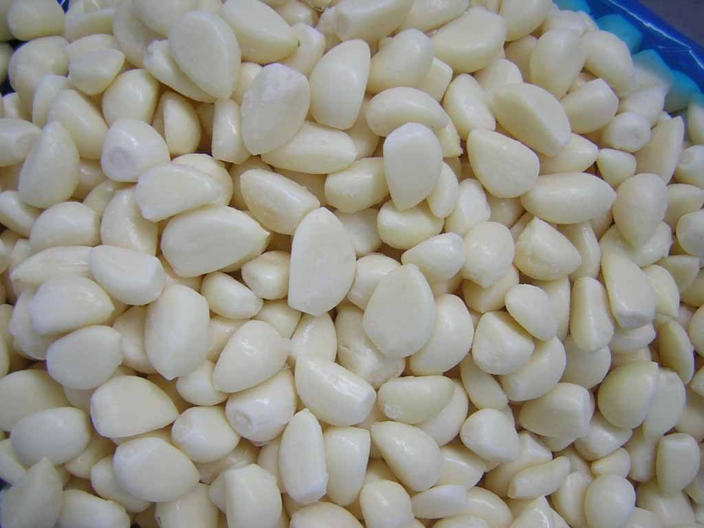 New Crop Fresh White Peeled Garlic