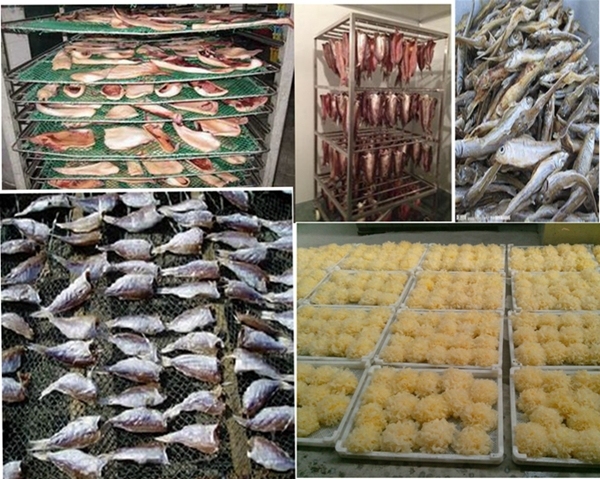 Cool Air Drying Fish Dryer/ Sardine Dehumidifier/ Fish Drying Machine