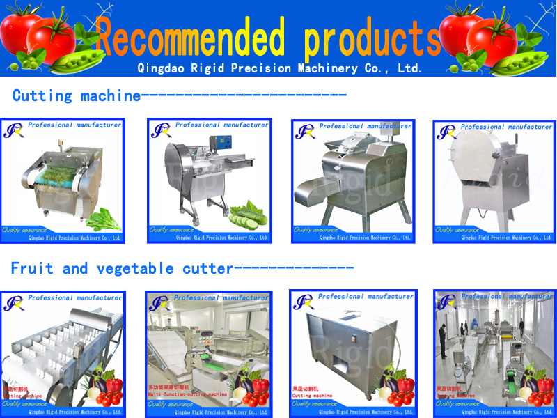 Automatic Electric Vegetable Slicing Machine (slice, shred, dice, fillet)