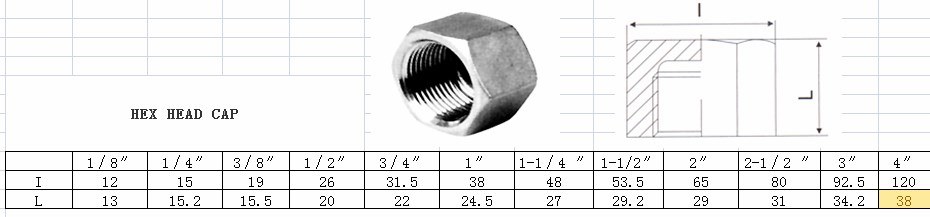 Stainless Steel Pipe Fitting 304 Hexagon Head Cap