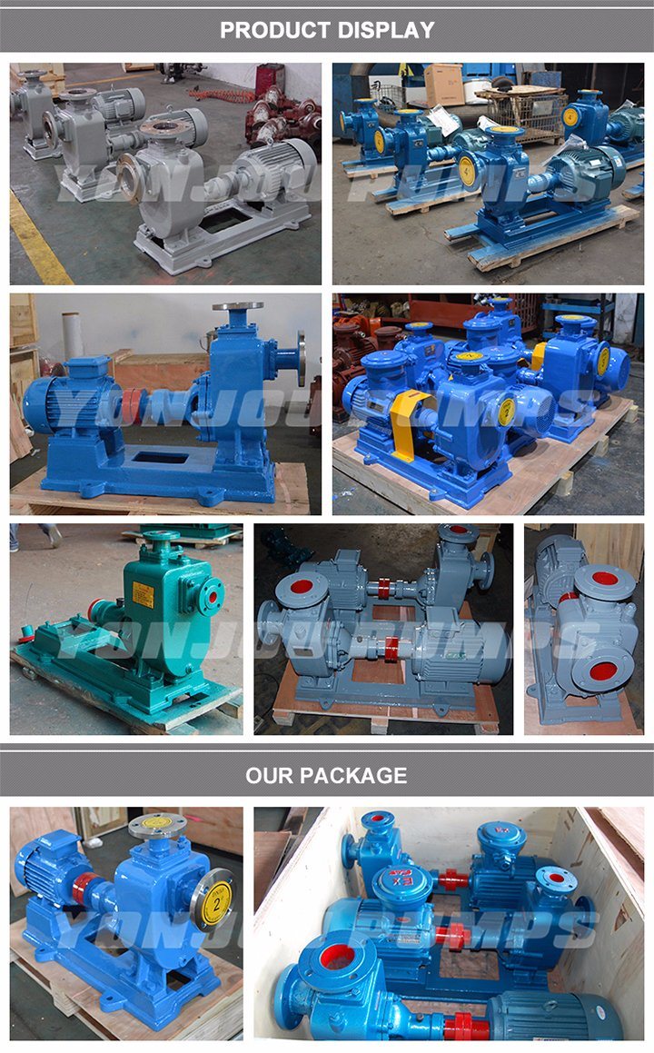 Mechanical Seal Centrifugal Self-Priming Water Pump