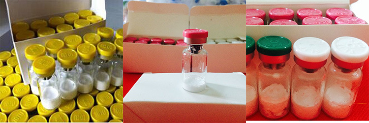 High Purity Tesamorelin (Peptides Lyophilized Powder) for Muscle Building