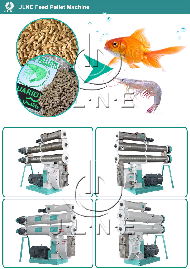 Professional Manufacturers Animal Feed Pelletizer Price Promotion