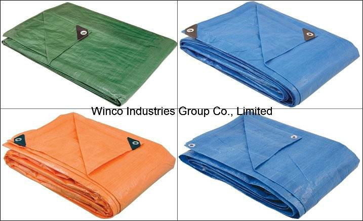 Blue Tarpaulin with Eyelet