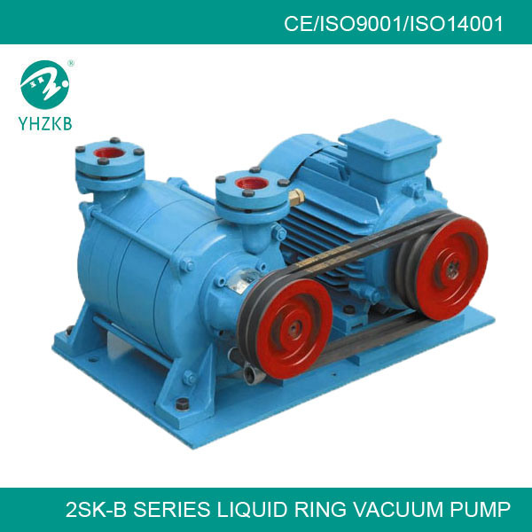 2 Stage Liquid Ring Vacuum Pump for Food Packaging