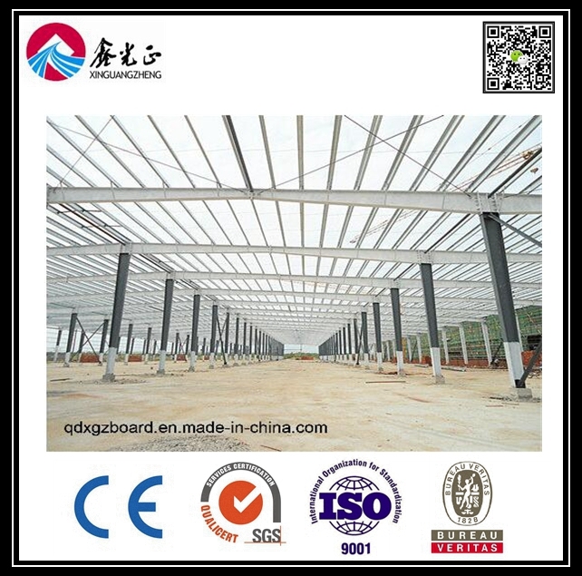 Light Steel Structure Warehouse/Building/Workshop (BYSS015)