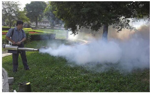 Best Price Agriculture Pest Mosquito Killer Thermal Fogging Smoke Sprayer Machine
