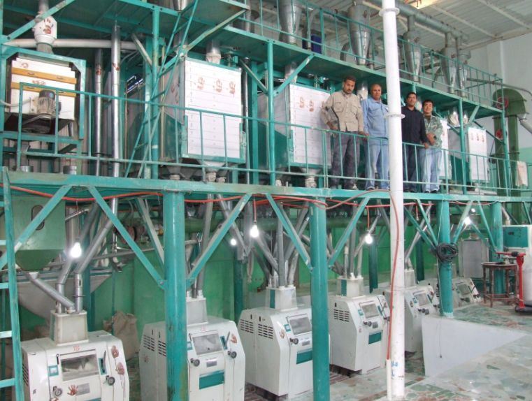 China 50tpd Wheat Processing Plant for Ethiopia Egypt Brazil