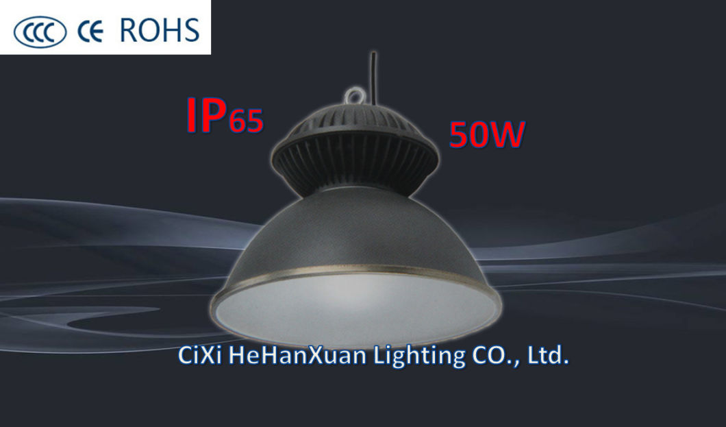 IP65 LED Flood Light with High Quality (50W/100W/200W)