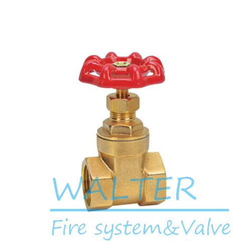 Brass Rising Stem Gate Valves in High Quality