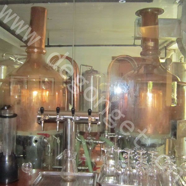 1000L/10hl Luxury Red Copper Brewery Plant