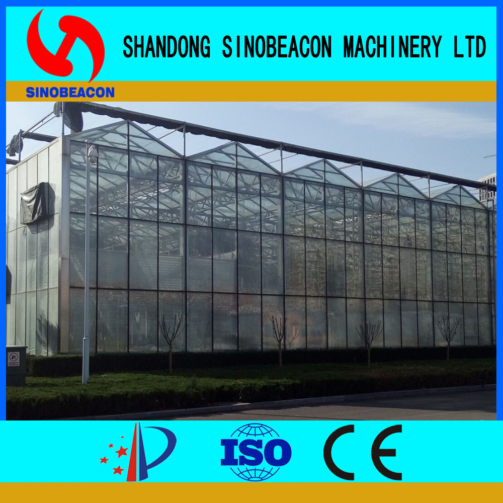 Commercial Greenhouse Mainly for North America Area