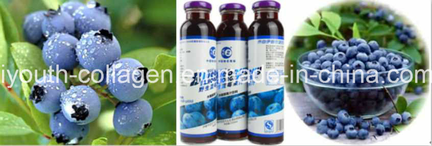 EU Quality Organic Blueberry Pulp/ Fruit Juice, Rich Anthocyanin, SOD, Anticancer, Anti-Aging, Antibacterial, Prevention of Gastric Cancer and Dementia, Food