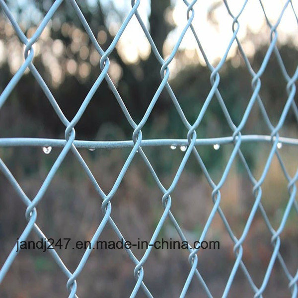 PVC Coated Hexagonal Wire Mesh Fence