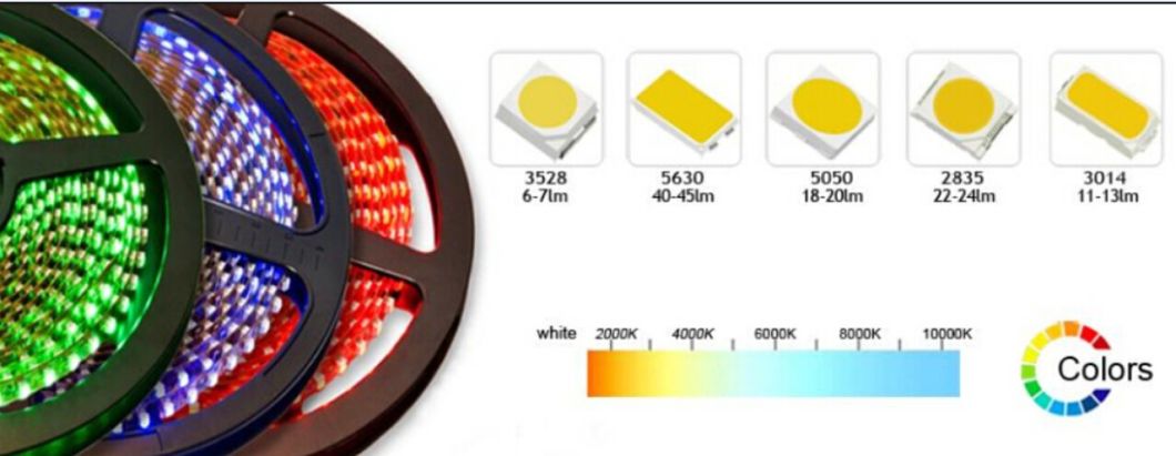 DC24V SMD2835 Flexible LED Strip Light Ce RoHS SAA ETL