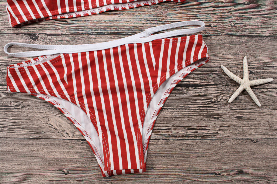 Stripe Two Piece Sexy Bikini Nylon Swimsuit for Woman