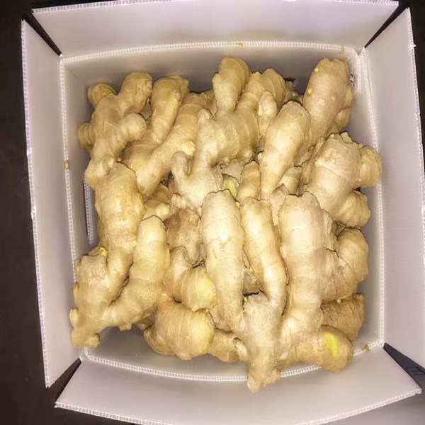 2017 Crop Air Dry Ginger