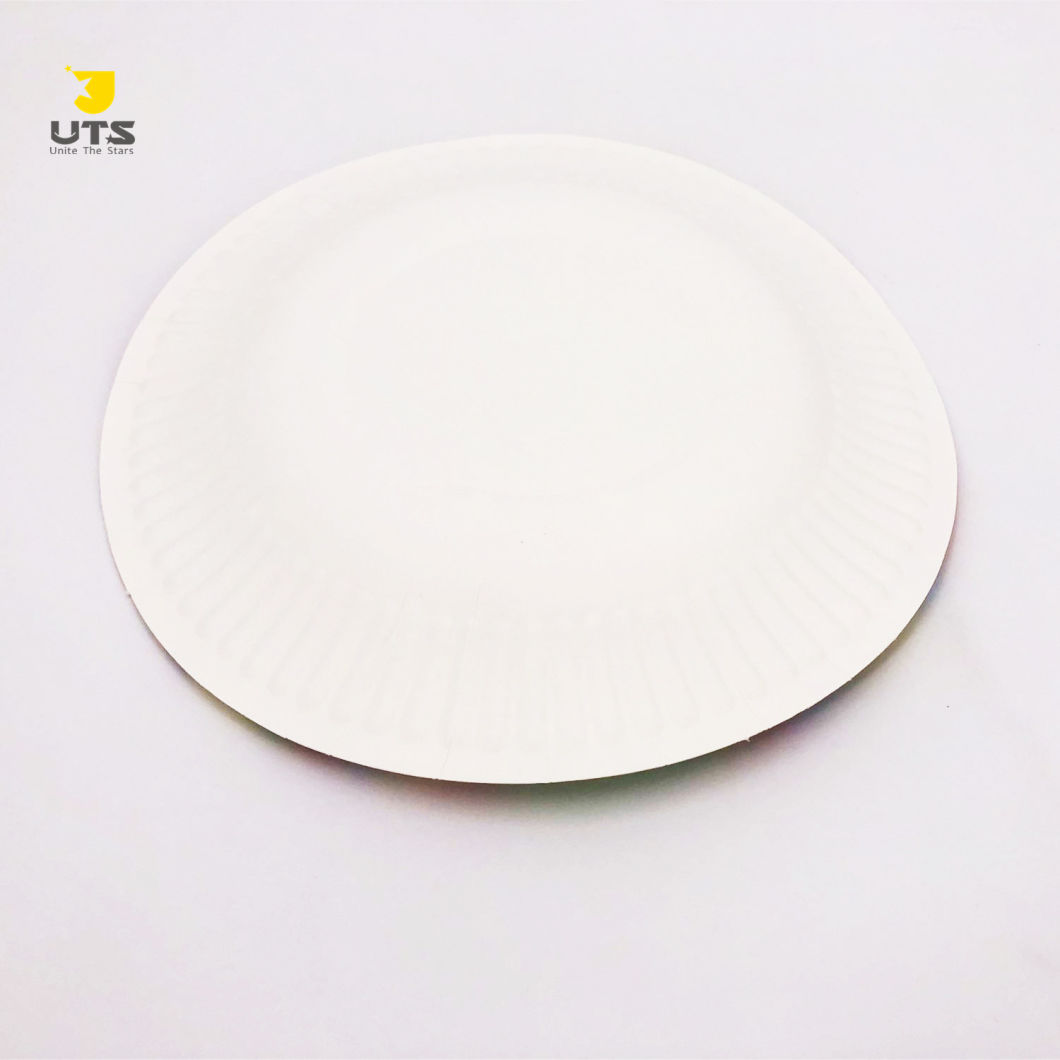 Custom Biodegradable Food Grade Paper Food Plates