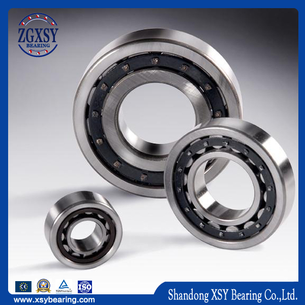 High Capacity Nylon Brass Steel Cage Cylindrical Roller Bearing