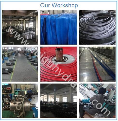 Flexible Rubber Braided Petrol Delivery/Transfer Hose for Farm Fuel Oil Tank/Pump