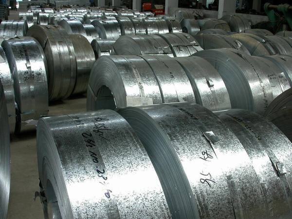 Galvanized Steel Coil/ Strip Hot Sale