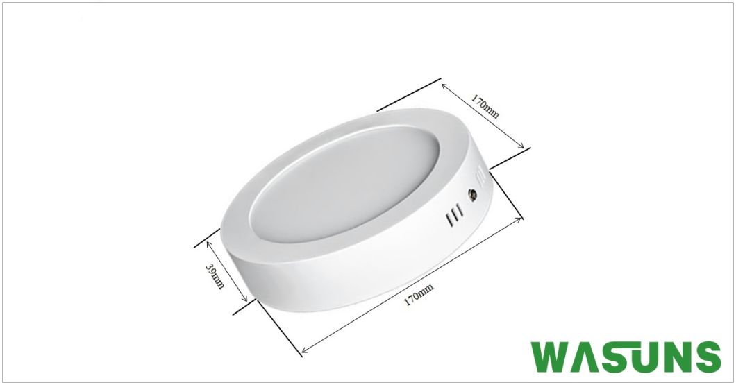 Surface Mounted 12W Round LED Lamp Panel Light