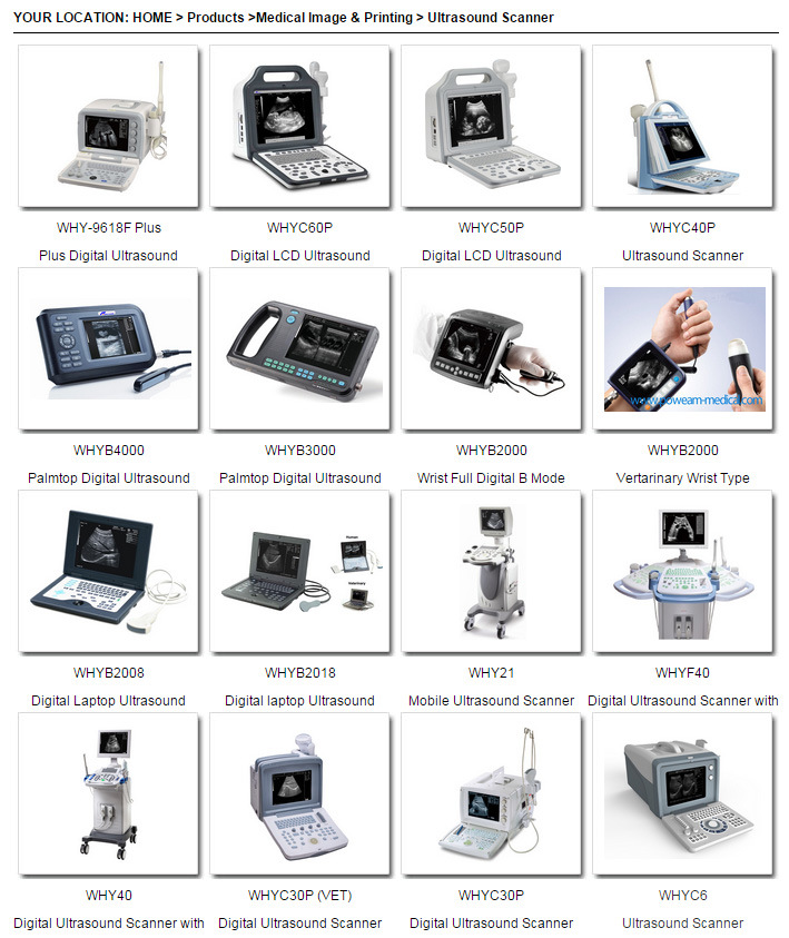 Digital Portable Palmtop Ultrasound Scanner (WHYB4000)