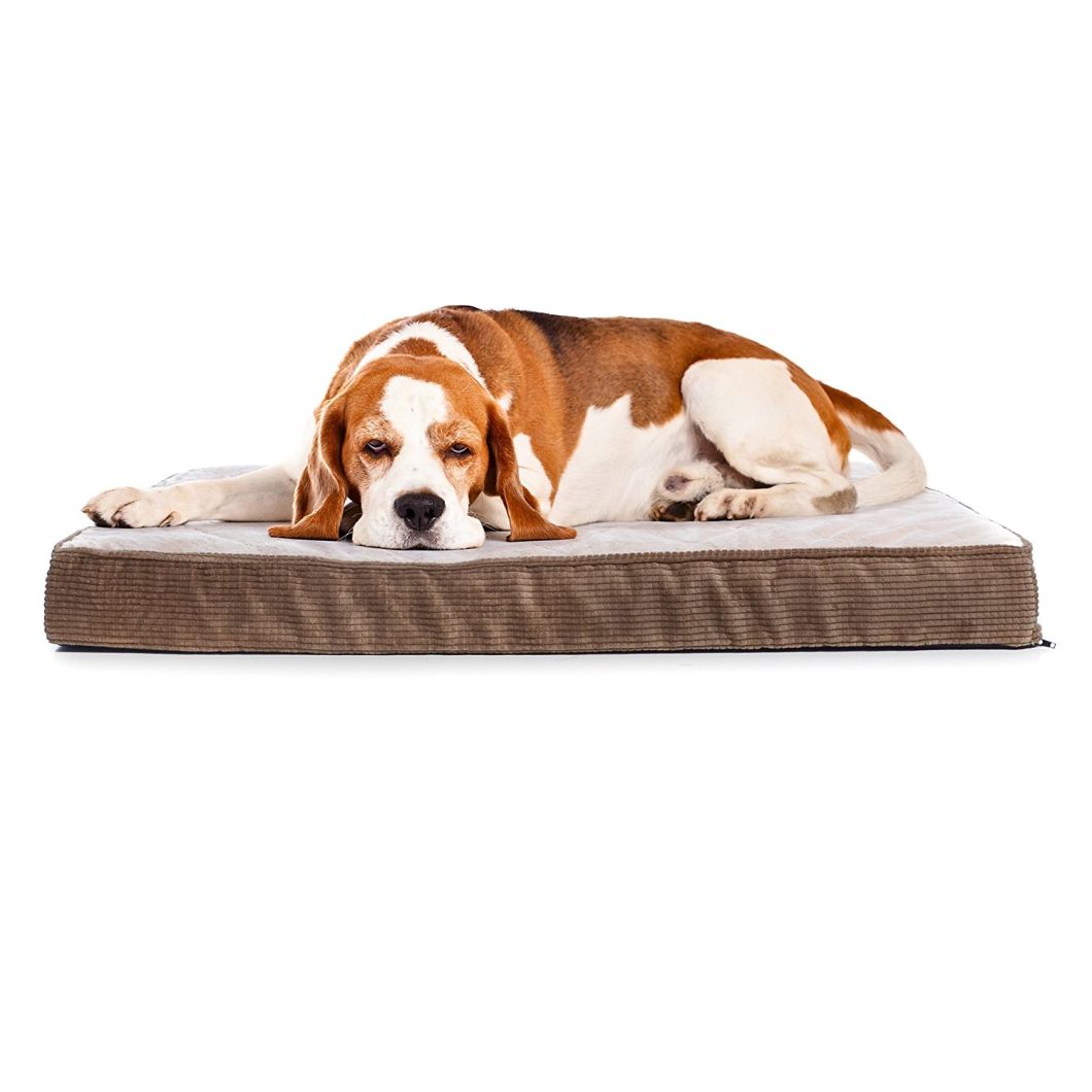 Elevated Luxury Pet Dog Bed Wholesale Waterproof Dog Bed