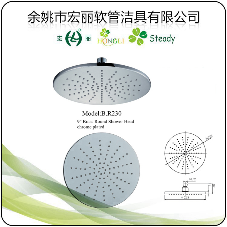 Chrome Plated Round Shape Brass Shower Head B. R200